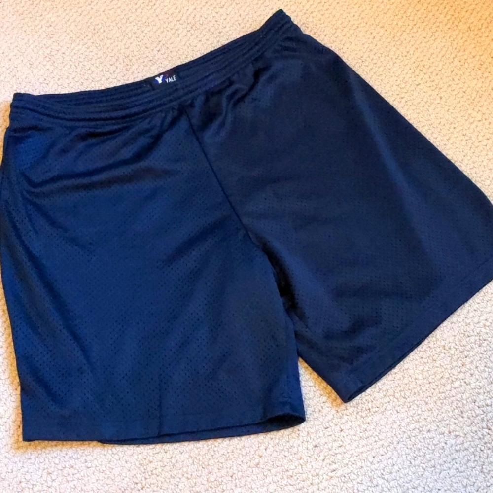 Blue Mesh Athletic Shorts